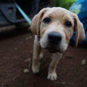 Meet your Posher, Keely